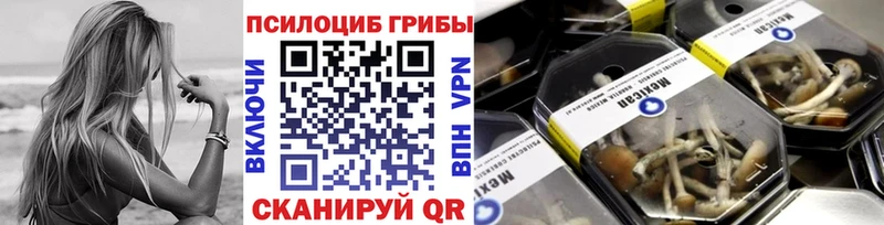 купить наркотик  Петровск  Псилоцибиновые грибы мицелий 