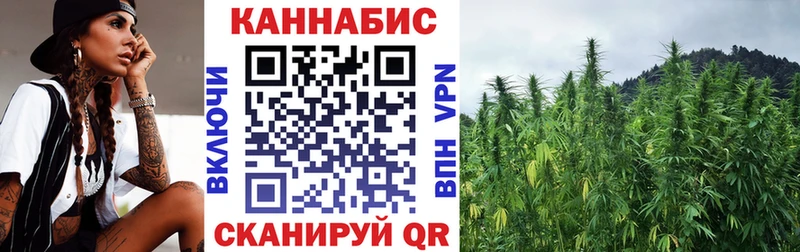 Бошки Шишки тримм  Петровск 